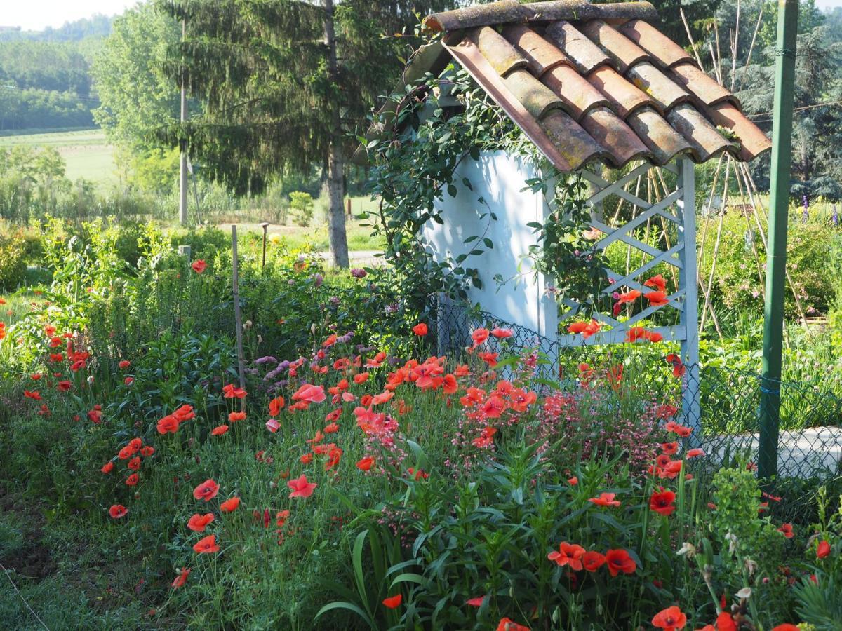 Casa Del Roseto Bed & Breakfast Belveglio Exterior photo