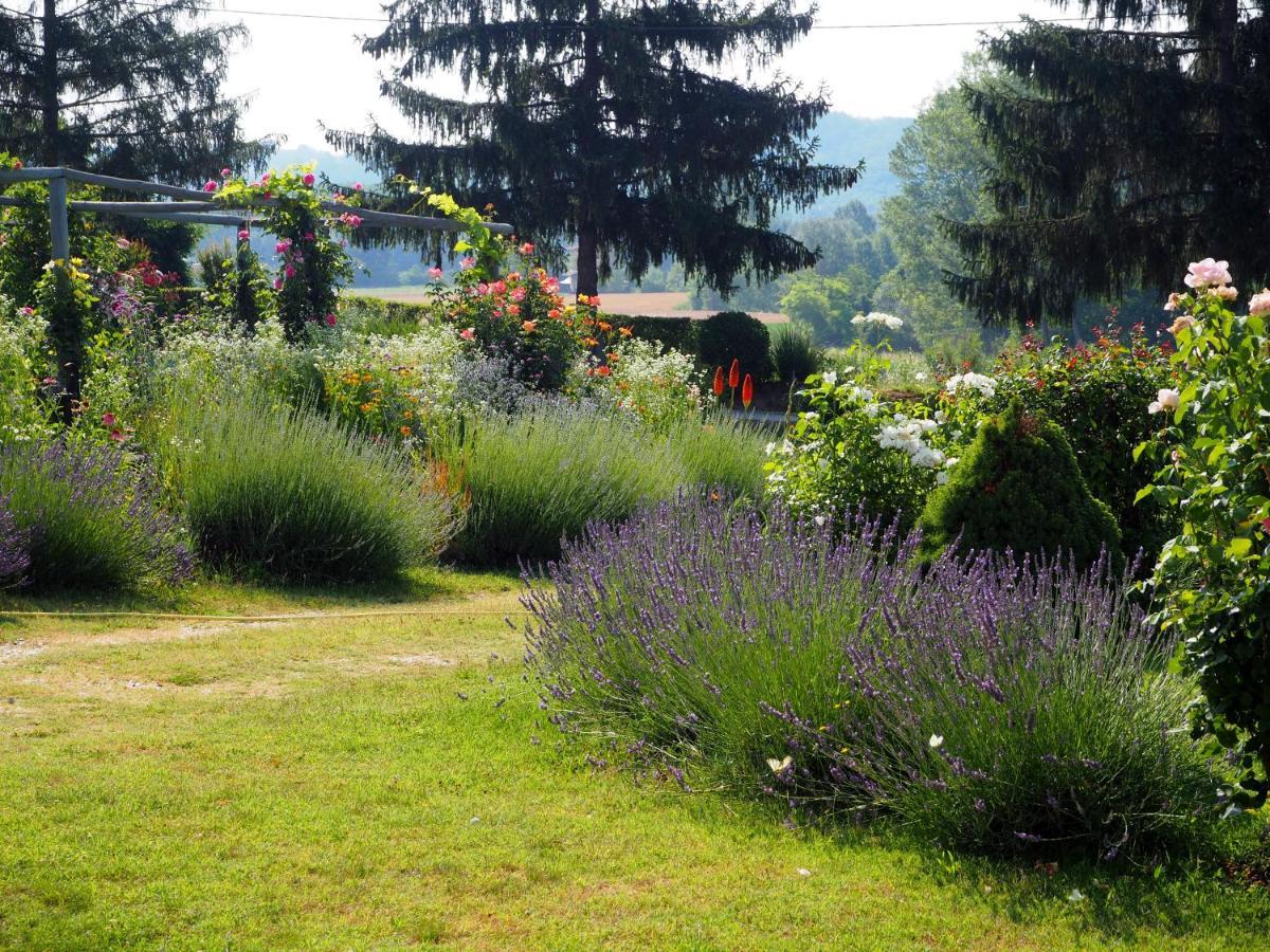 Casa Del Roseto Bed & Breakfast Belveglio Exterior photo